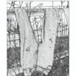 The cover is a black and white drawing of a pair of torn and ratty jeans hanging upside down by the legs from a wooden fence that has been overgrown with twigs and leaves. Above the sketch is the title and subtitle of the book and the author’s name is beneath the photo. 